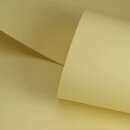 Design-Recyclingpapier mit rauer Oberfl&auml;che - wei&szlig; &amp; farbig | ICON Nature rough - FSC&reg;